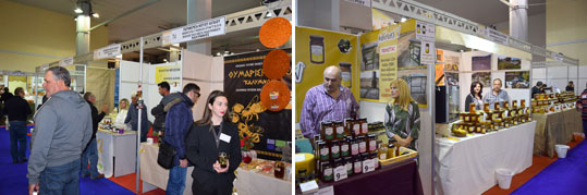06-festival-meliou-5