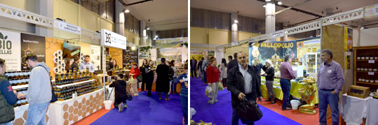06-festival-meliou-6