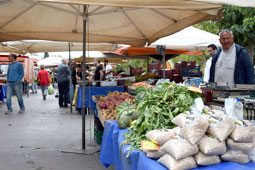 23-biologiki-laiki-9