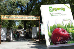28-oikologiki-giorti-organic-9