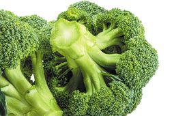 30-biologika-opekepe-9