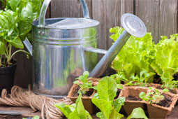 26-biologiki-georgia-9