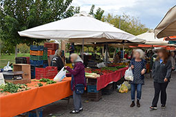 26-biologikes-laikes-9