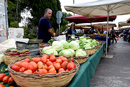 03-biologikes-laikes-elegxos-9