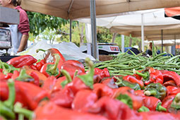 03-biologikes-laikes-paragogoi-9