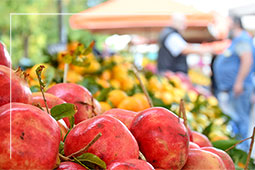 07-biologiki-laiki-9