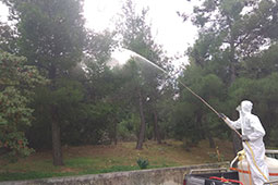 12-biologika-papagou-9