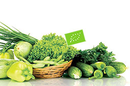 26-biologika opekepe 2