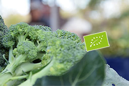 24-biologikes-laikes-lakonia-9