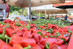 30-biologikes-laikes-9