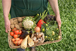 01-panellinia-enosi-foreon-pistopoiisis-biologikon-9