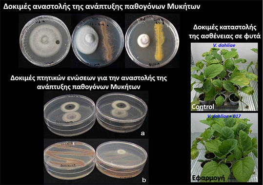 22-biocontrol-1