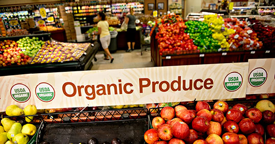 04-organic