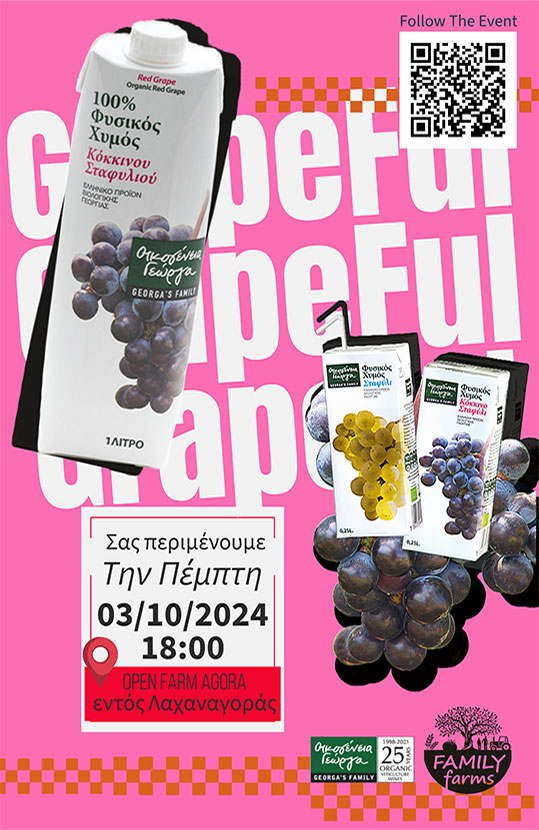 27-oikogeneia-georga-banner