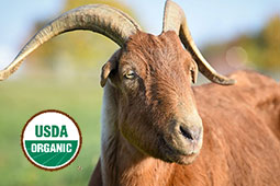 03-usda-organic-9