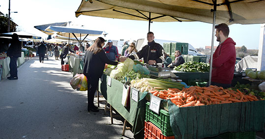 10-biologiki-laiki-kalamaria