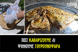 10-pos-katharizoume-gourounopsara-9