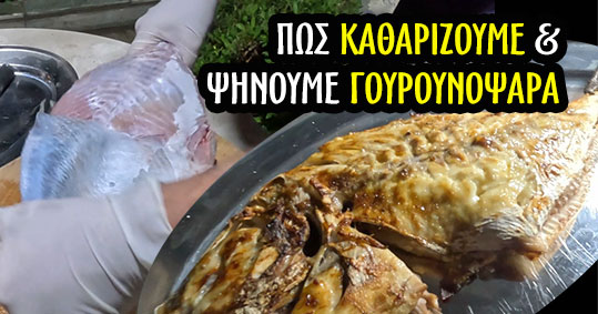 10-pos-katharizoume-gourounopsara