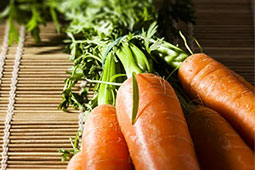 12-biologika-pliromes-9