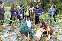 12-biologika-proionta-9