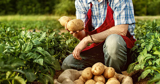 26-afairesi-adeias-leitourgias-organismon-pistopoiisis-biologikon