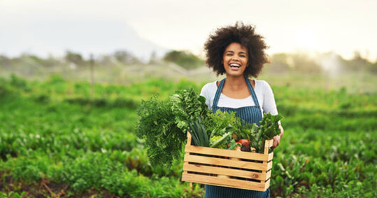 11-biologika-pliromes