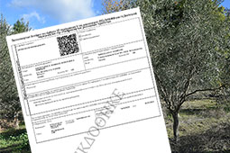 16-kiriakos-mitsotakis-biologika-9