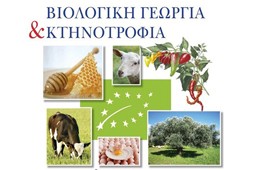 kalamata