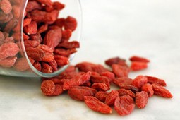 goji_berry_9