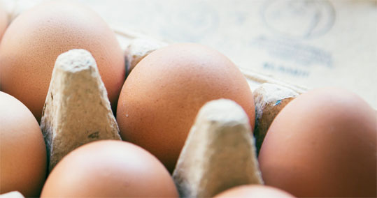 11-fipronil
