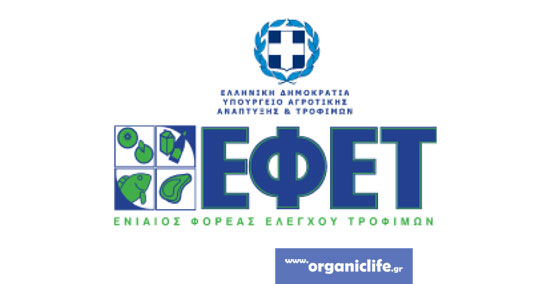 13-efet
