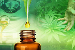 04-kannabidioli-9