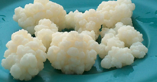 6-kefir