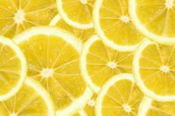 13-lemonia-9
