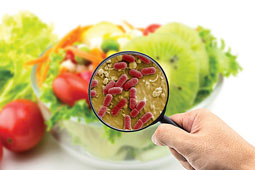 20-food-safe-9