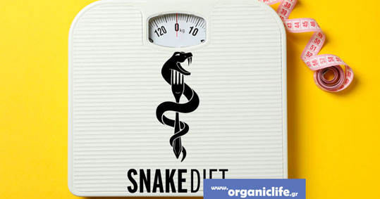 05-snake-diet
