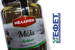 22-melanthi-efet-9