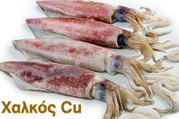 07-xalkos-9