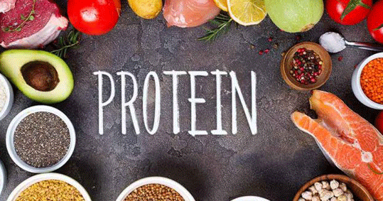 22-proteini