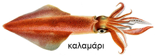 25-kal-3