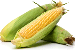 18-corn-9