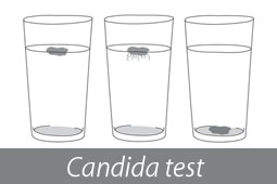 09-candida-9