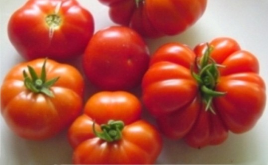 tomataki_santorinis