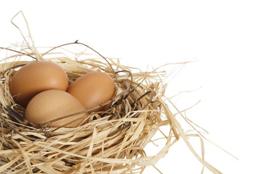 eggs