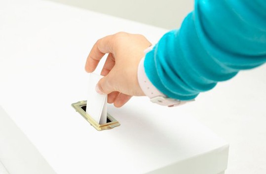 dimopsifisma