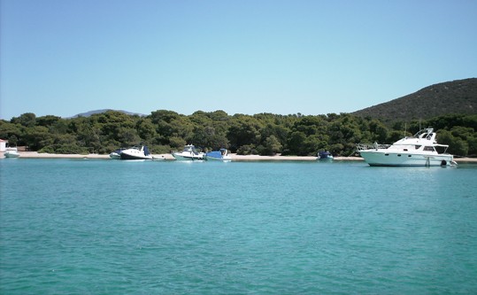 petalioi_19