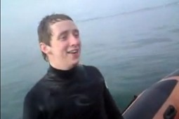 shark