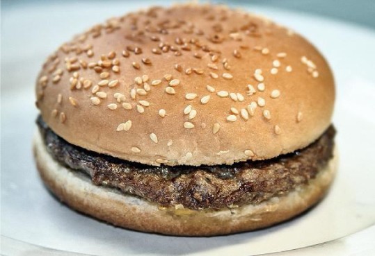 burger_alogou