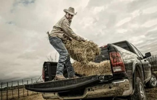 farmer