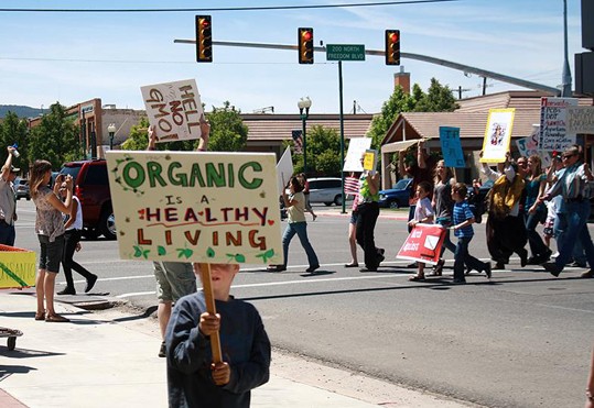 monsanto usa